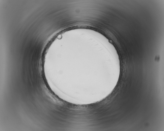 X0000114011076200911131158