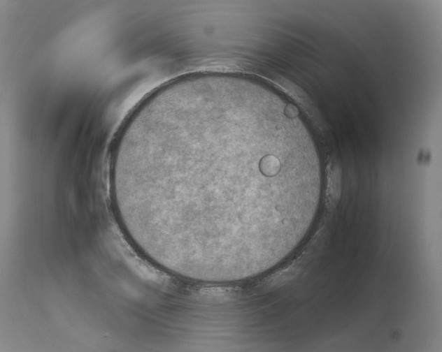 X0000114011078200911131158
