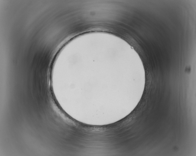 X0000114011084200911131158