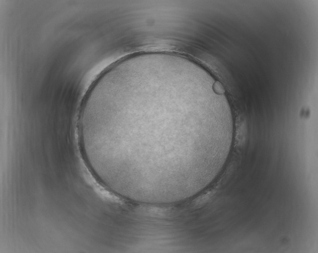 X0000114011086200911131158