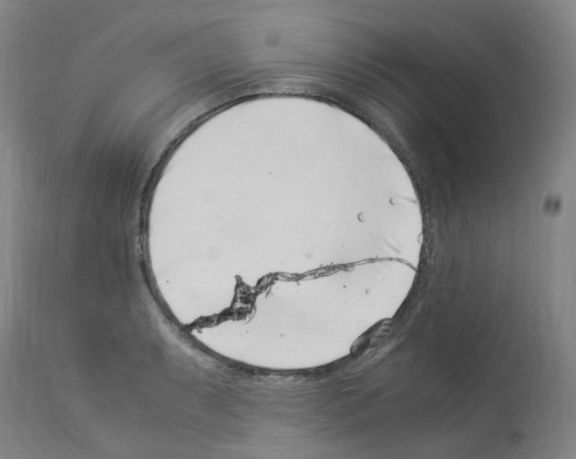 X0000114011087200911131158