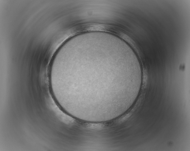 X0000114011090200911131158