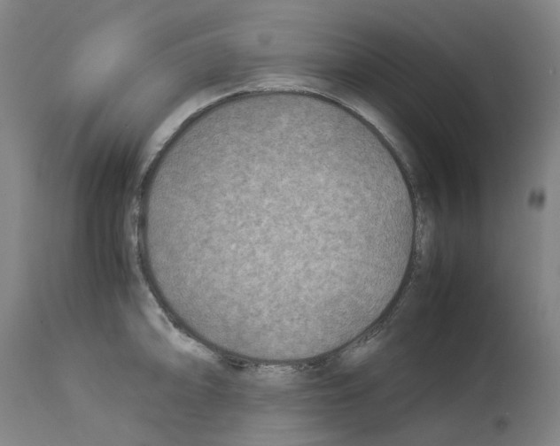 X0000114011094200911131158