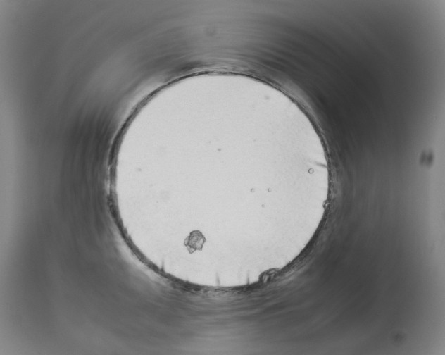 X0000114011095200911131158