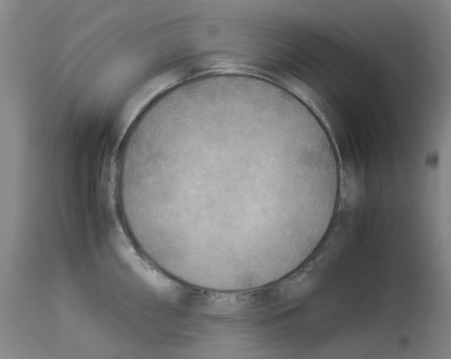 X0000114011098200911131158