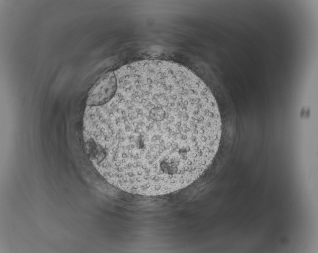 X0000114011105200911131157