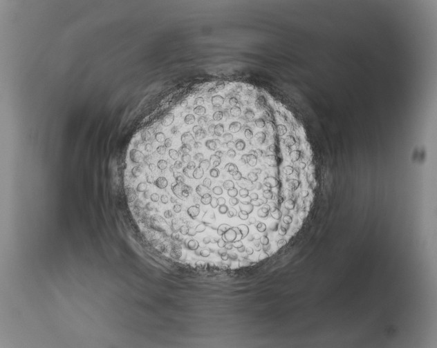 X0000114011106200911131157