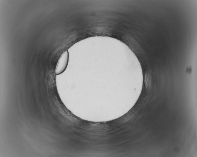 X0000114011107200911131157