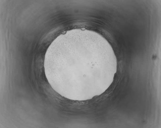 X0000114011111200911131157