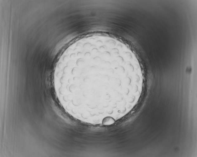 X0000114011113200911131157