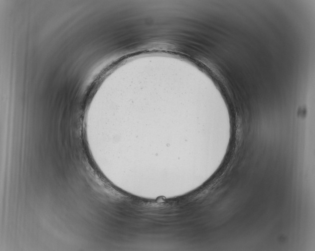 X0000114011115200911131157