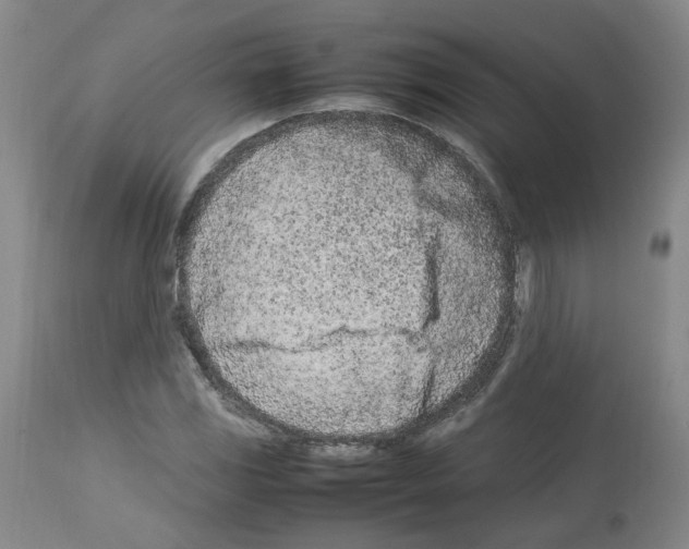 X0000114011117200911131157