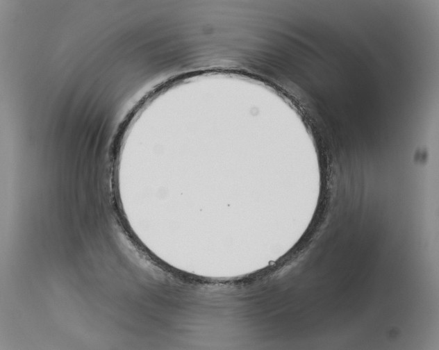 X0000114011118200911131157