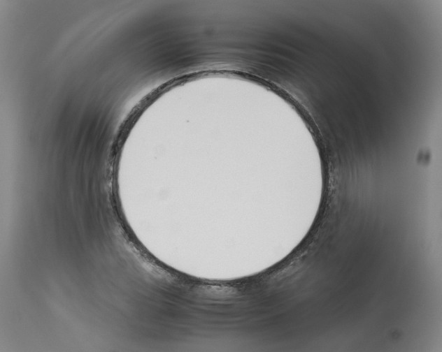 X0000114011119200911131157