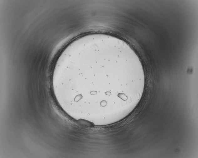 X0000114011120200911131157