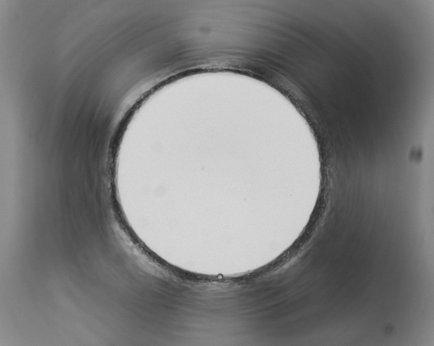 X0000114011122200911131157