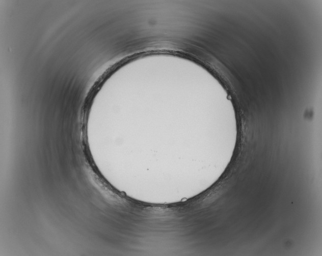 X0000114011124200911131157