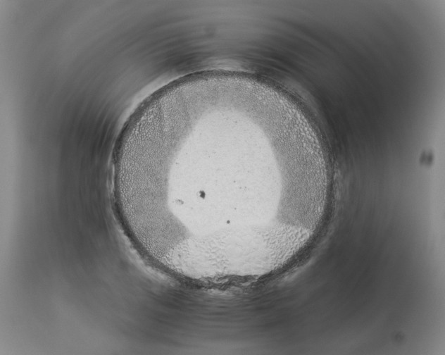 X0000114011125200911131157