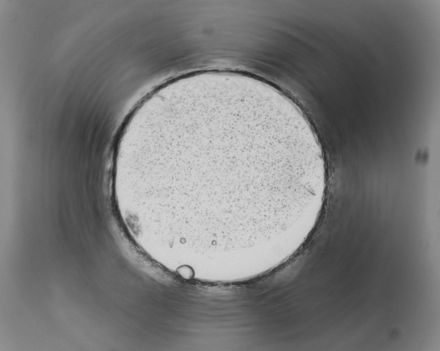 X0000114011126200911131157