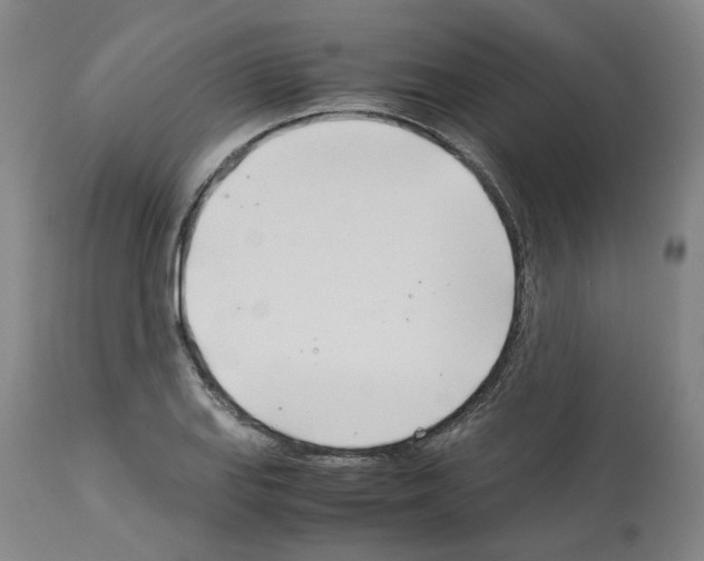 X0000114011127200911131157