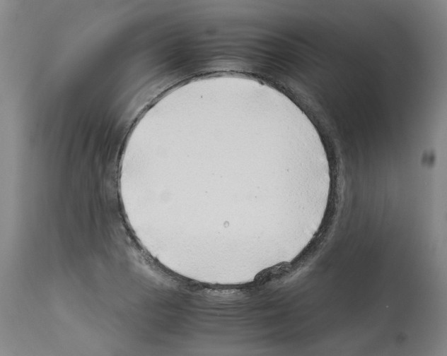 X0000114011129200911131158