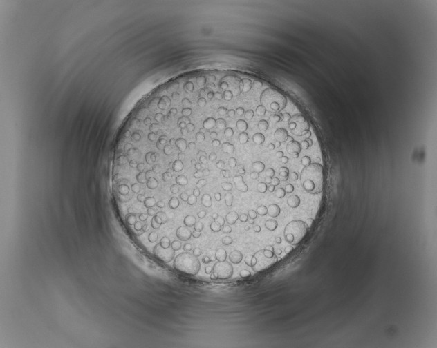 X0000114011130200911131158