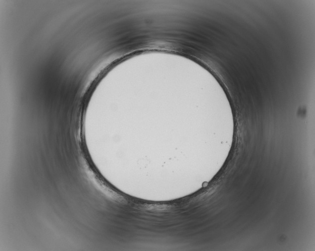 X0000114011131200911131158