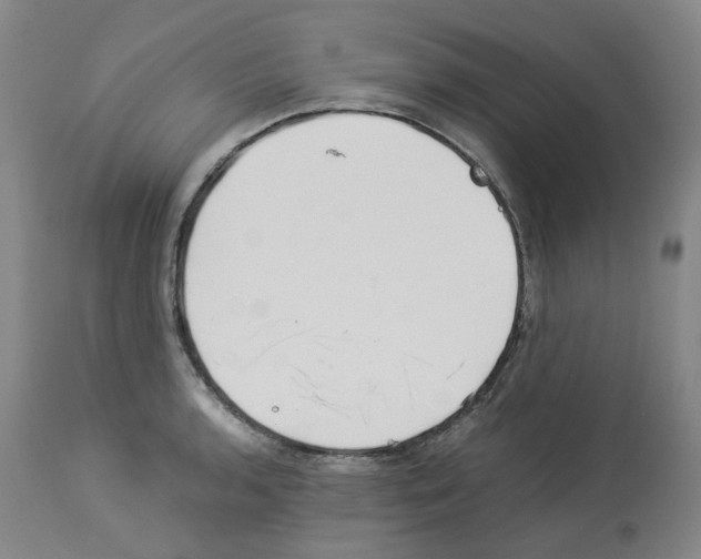 X0000114011136200911131158