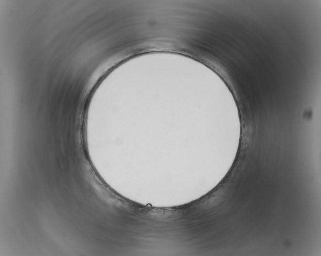 X0000114011146200911131158