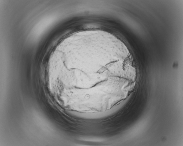 X0000114011151200911131158