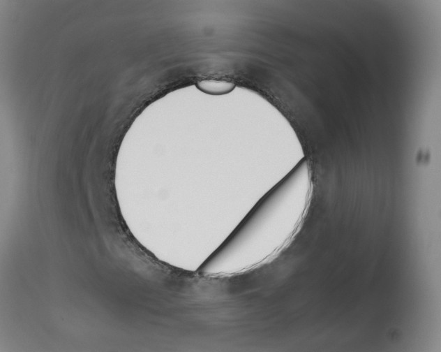 X0000114011153200911131157