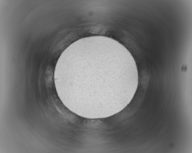 X0000114011154200911131157