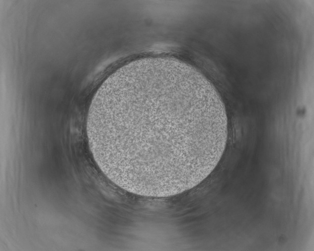 X0000114011158200911131157