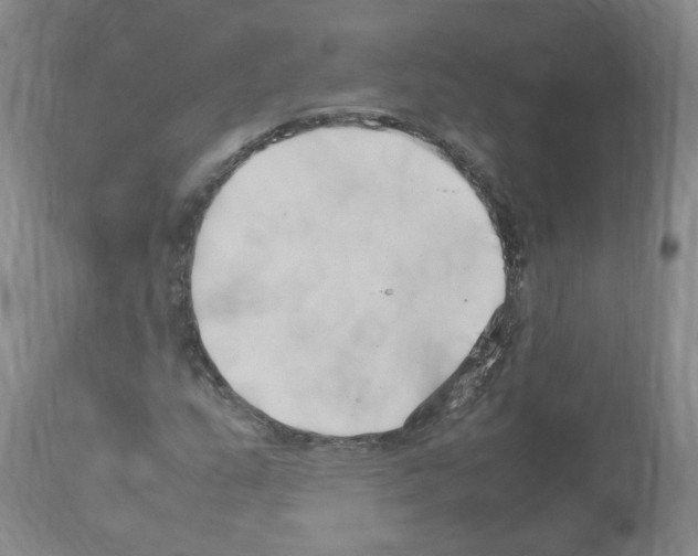 X0000114011159200911131157