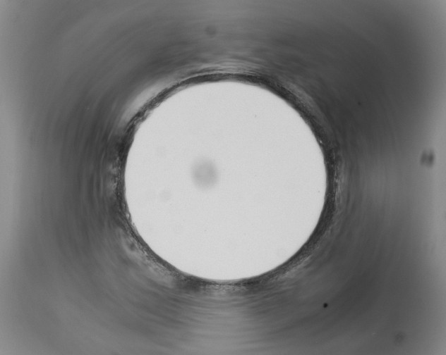 X0000114011163200911131157