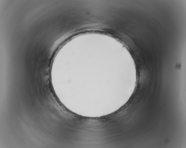 X0000114011164200911131157