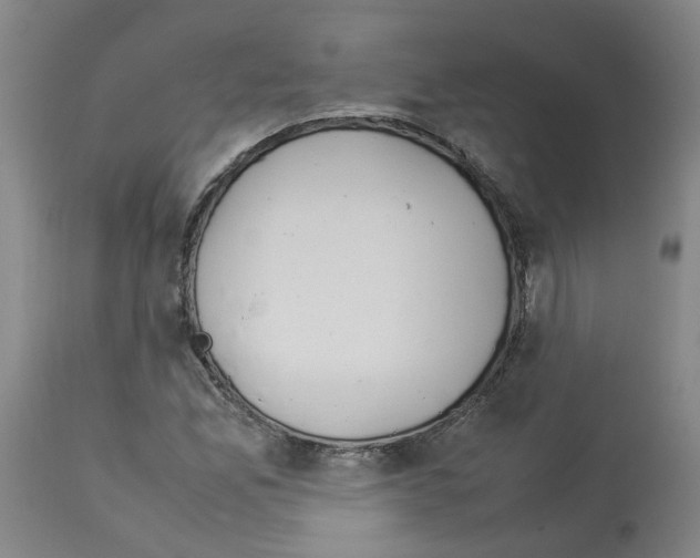 X0000114011165200911131157