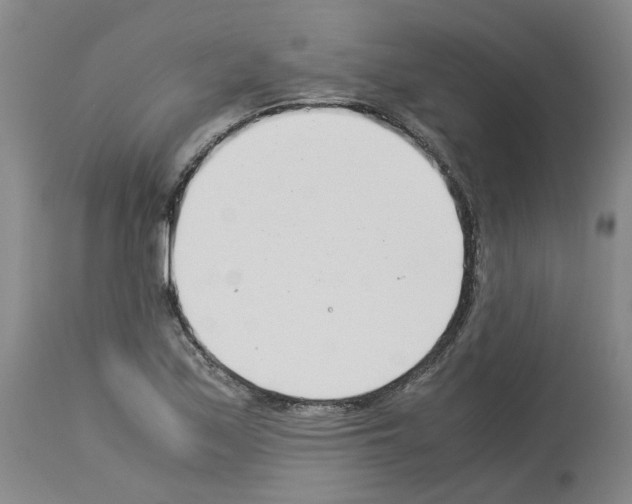 X0000114011171200911131157