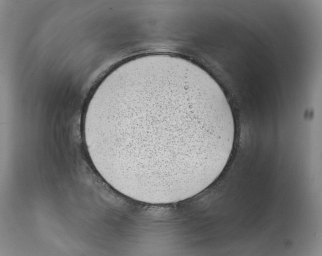 X0000114011174200911131157