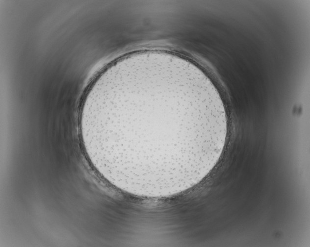 X0000114011176200911131157