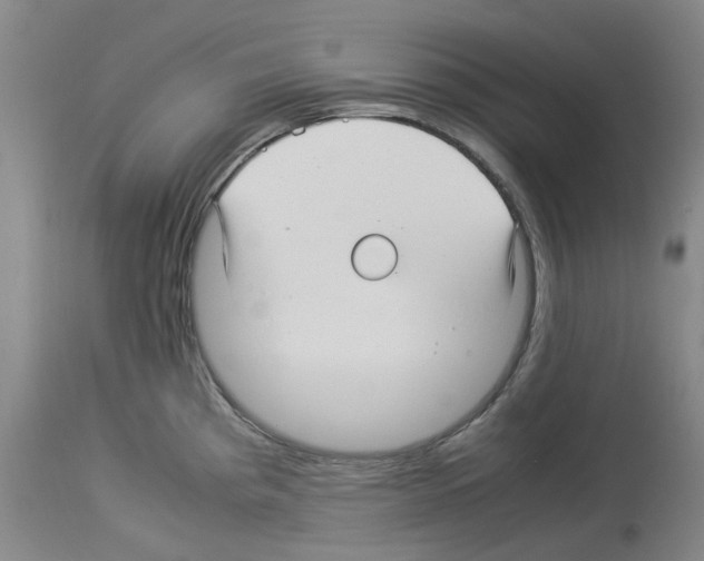 X0000114011193200911131156