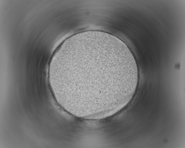 X0000114011198200911131156