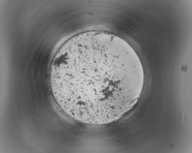 X0000114011200200911131156