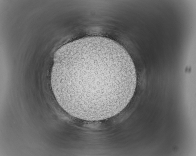 X0000114011201200911131156