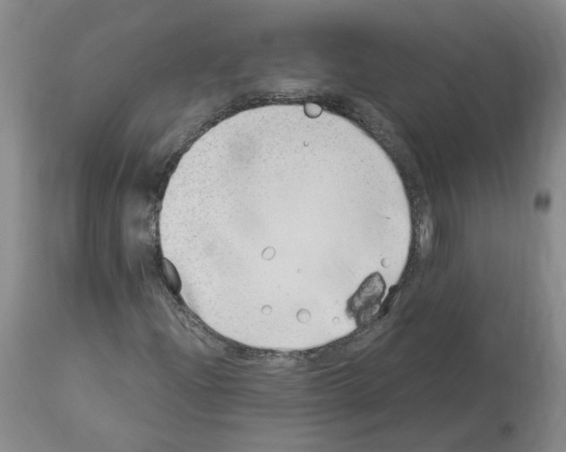 X0000114011204200911131156