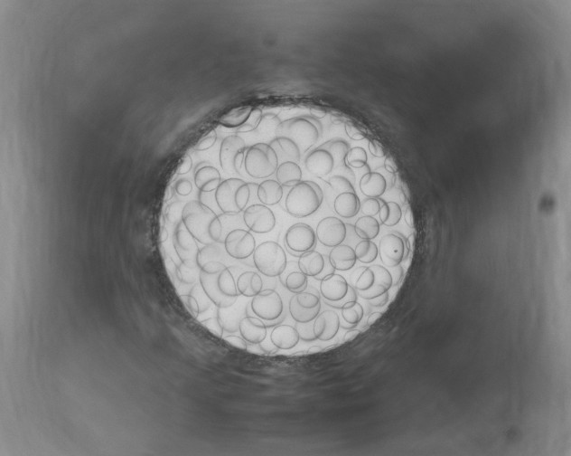 X0000114011205200911131156