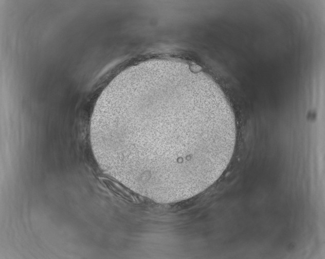 X0000114011206200911131156