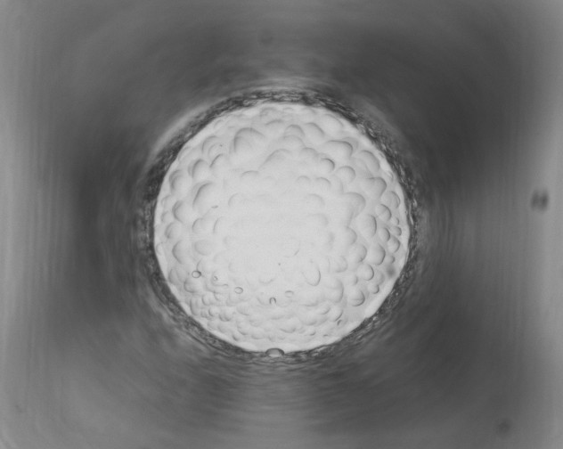 X0000114011208200911131156