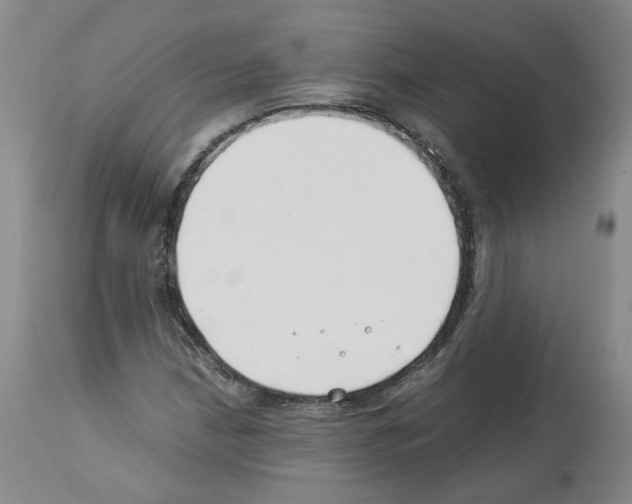 X0000114011210200911131156