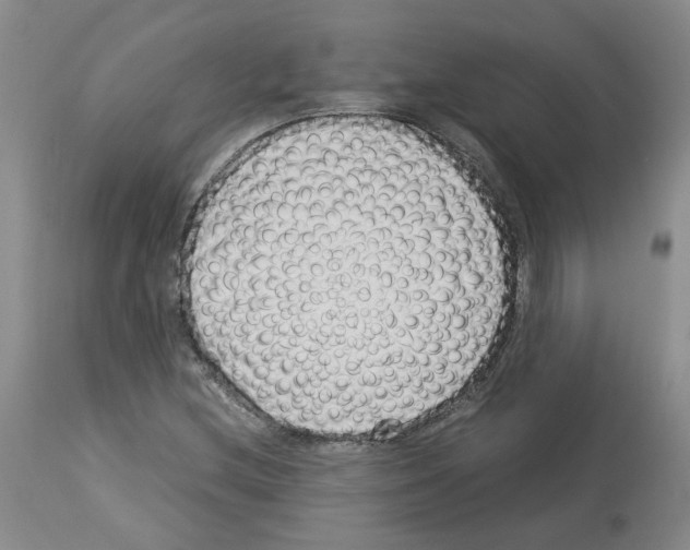 X0000114011212200911131156